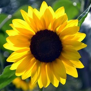 Meet your Posher, Molly